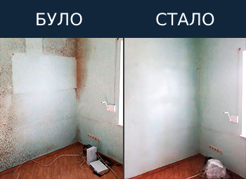 Наша робота по усуненню цвілі до та після