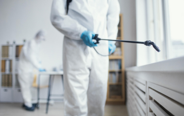 Сколько могут жить тараканы без еды и воды?