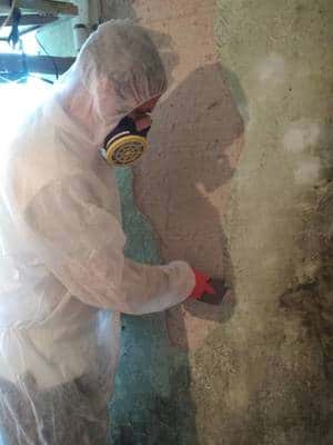 Удаление плесени и грибка