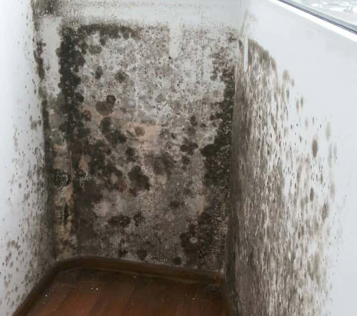 Гидроизоляция террас и балконов для избежания плесени